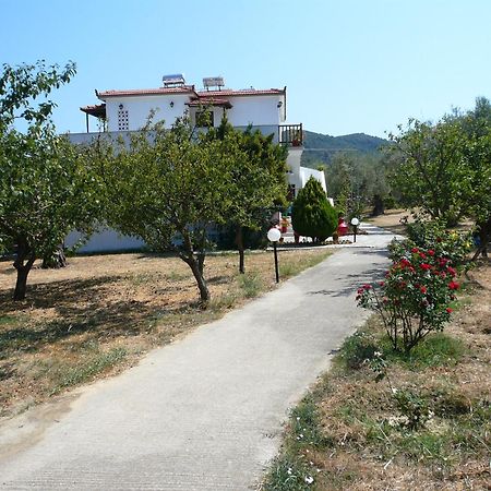 Liossis Rooms & Apartments Skopelos Eksteriør billede