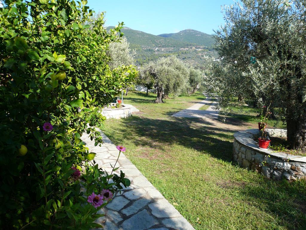 Liossis Rooms & Apartments Skopelos Eksteriør billede