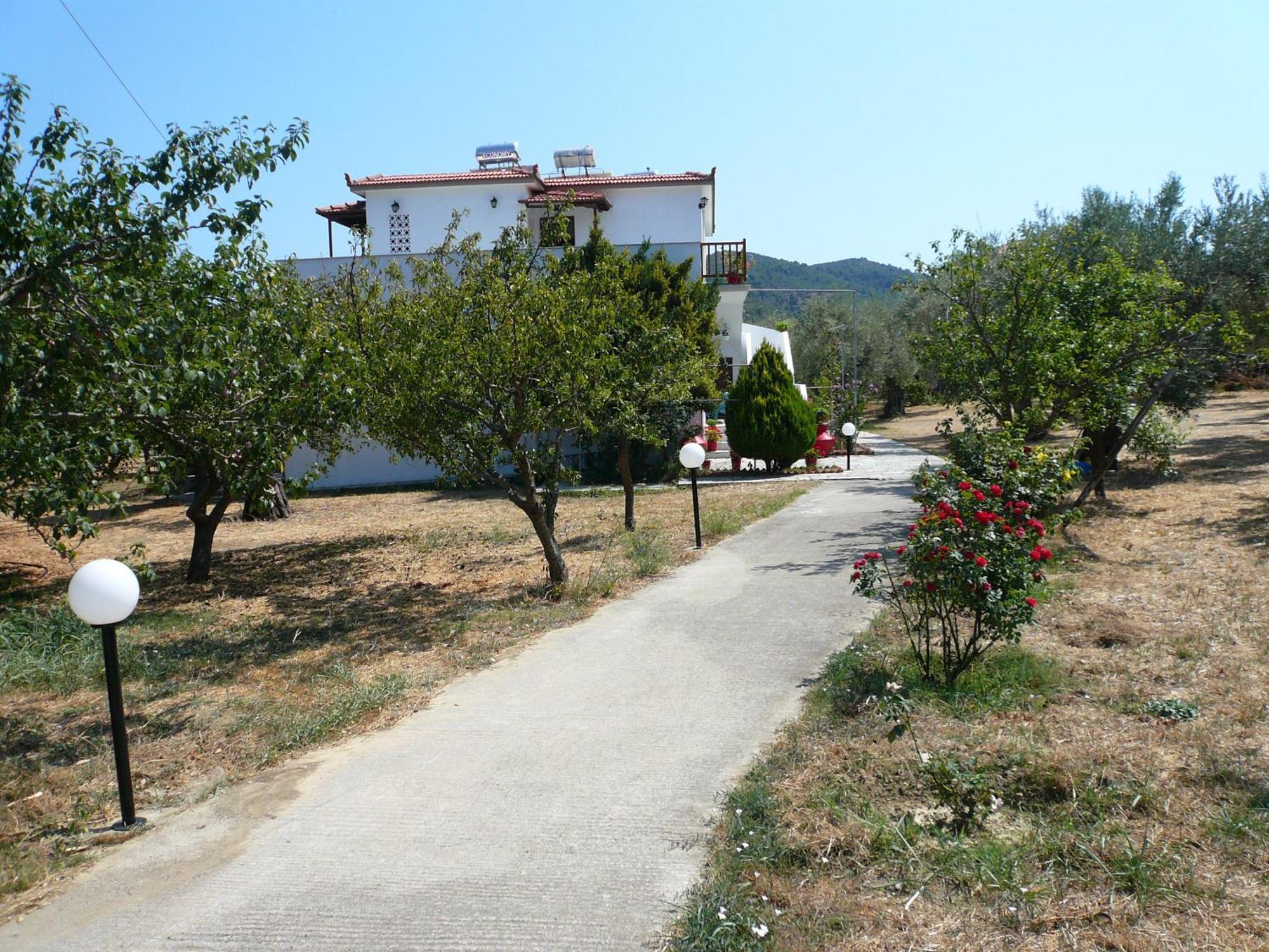 Liossis Rooms & Apartments Skopelos Eksteriør billede