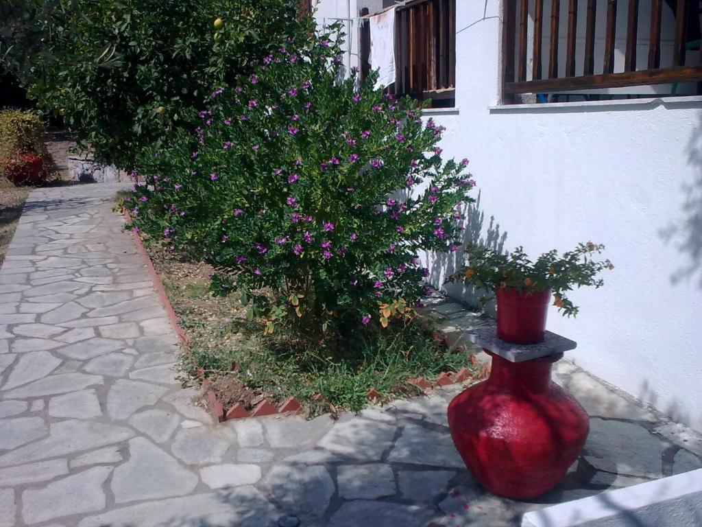 Liossis Rooms & Apartments Skopelos Eksteriør billede
